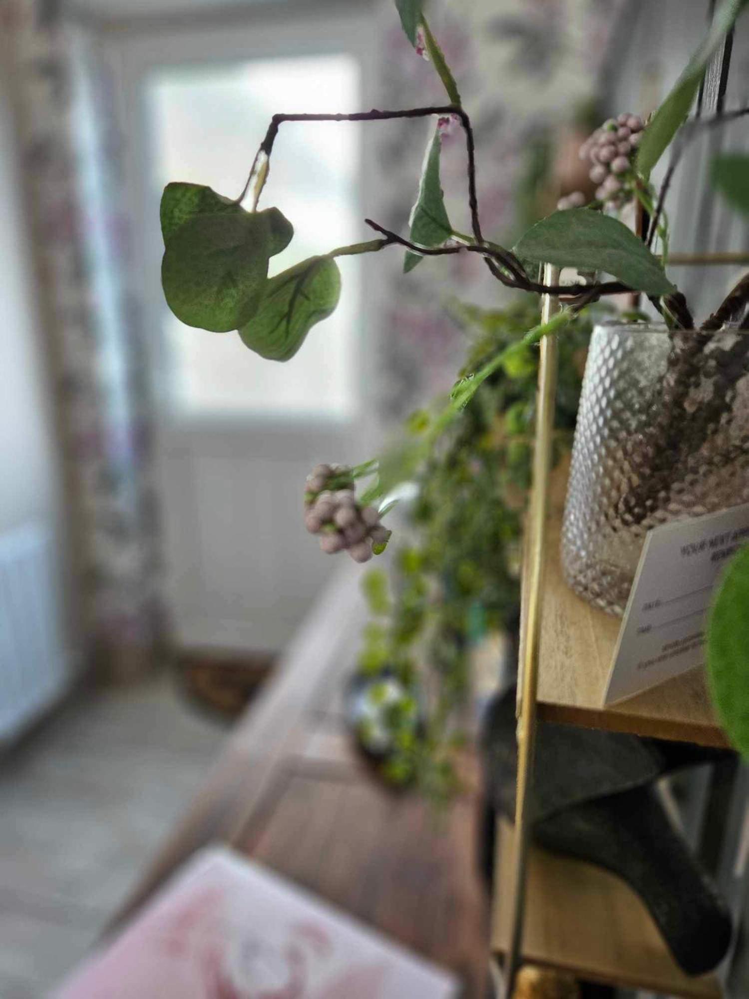 Apartmán Croí Beag Self Catering Dundalk Exteriér fotografie