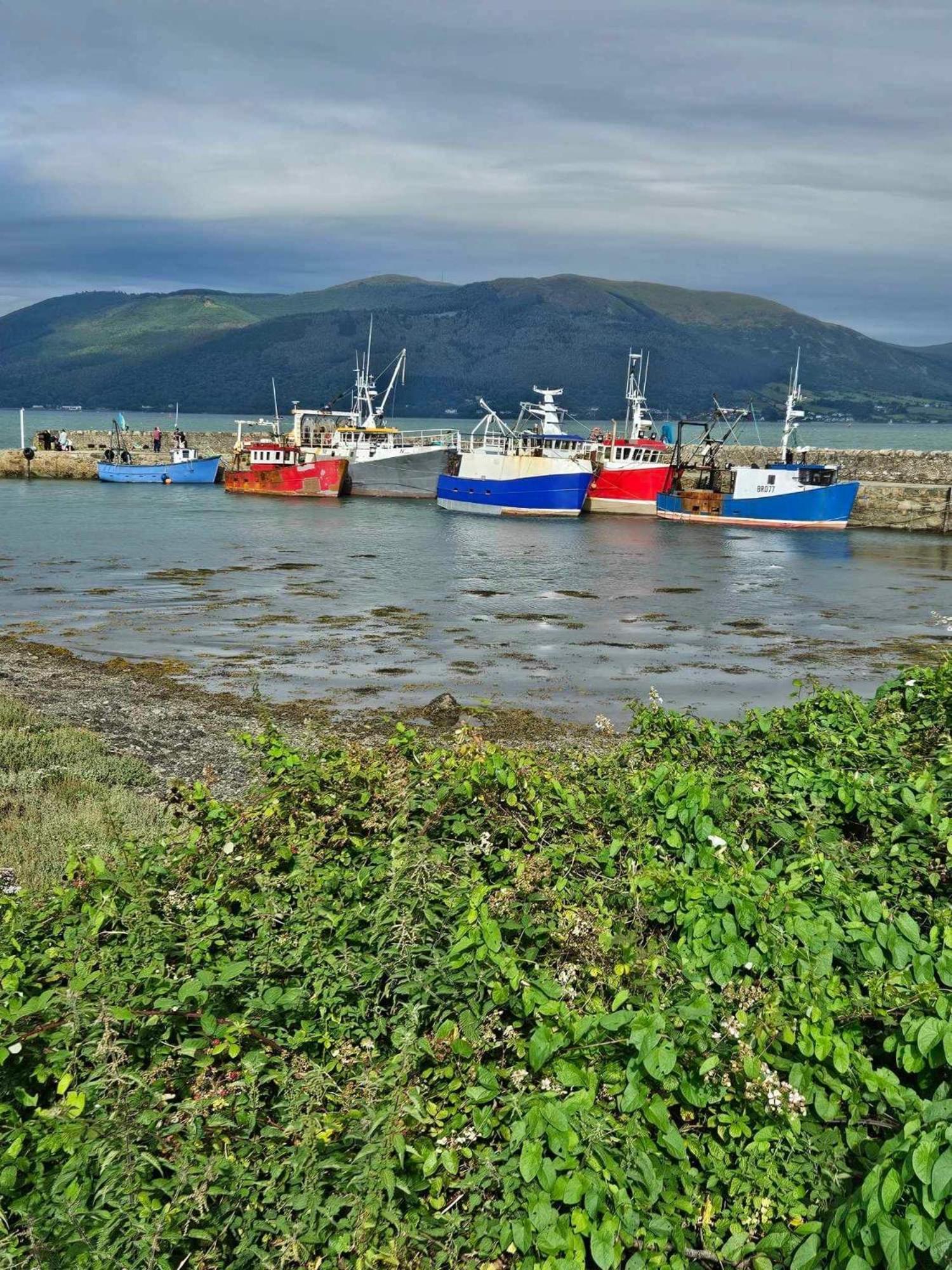 Apartmán Croí Beag Self Catering Dundalk Exteriér fotografie